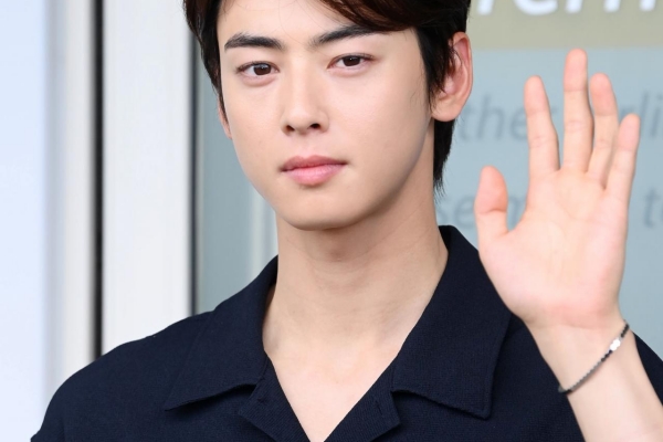 '탈세 의혹' 군인 차은우, 조사 못 피한다 군 검찰 공조 수사 가능