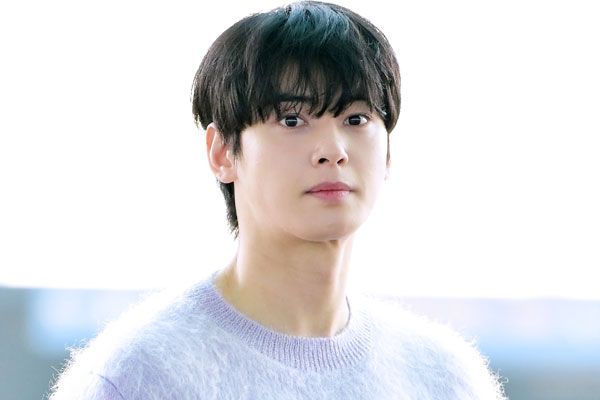 '200억 탈세 의혹' 차은우, 이유 있는 대형 로펌 선임 승소 사례 많아져