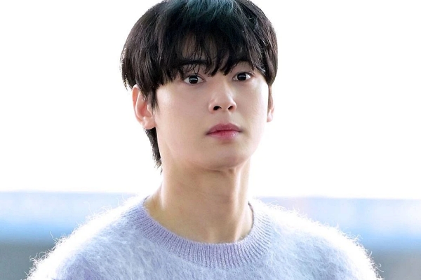 '200억 탈세 의혹' 차은우 세금 전부 납부, 모든 책임 나에게 있다