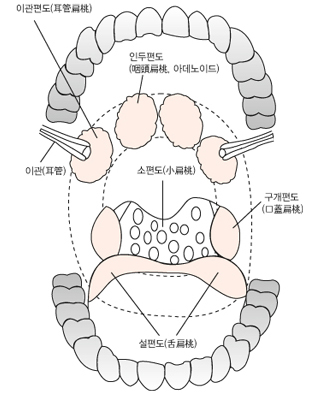 숨길을 열다