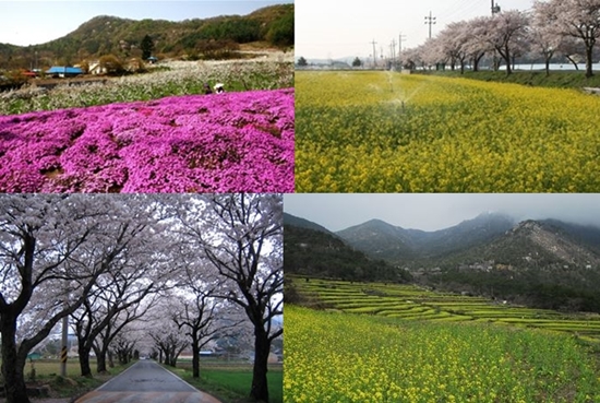 봄꽃 휴양마을 10선이 선정됐다. ⓒ 농림축산식품부 