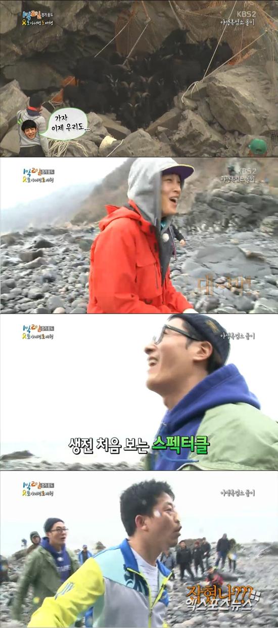 '1박 2일' 멤버들이 풍도 주민들의 야생 흑염소 몰이에 동참했다. ⓒ KBS 방송화면