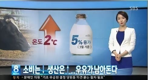 남아도는 유유 ⓒ SBS 방송화면
