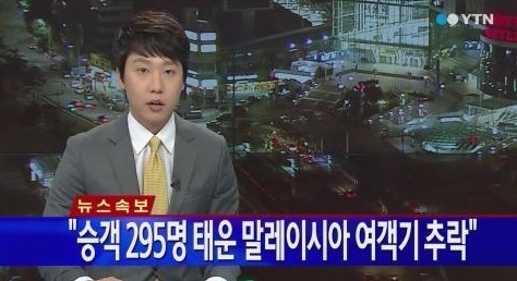 말레이시아 여객기가 우크라이나 상공서 격추됐다. ⓒ YTN