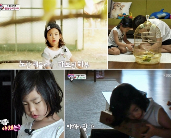 '야채의 죽음'은 아빠와 아이를 모두 자라게 했다. ⓒ KBS 2TV '해피선데이 -슈퍼맨이 돌아왔다'