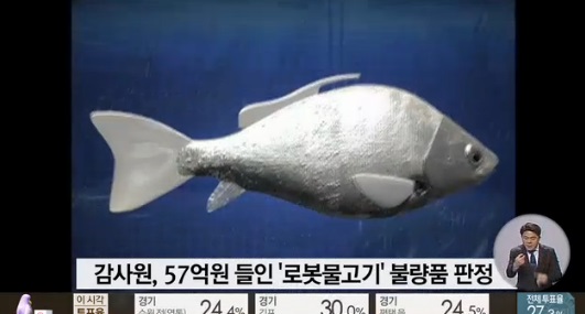 4대강 로봇물고기가 불량품으로 드러났다. ⓒ SBS