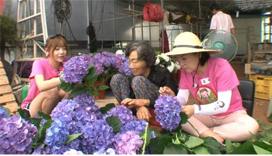 '인간의 조건' 천이슬이 수국농장을 찾아 봉사활동을 펼쳤다. ⓒ KBS