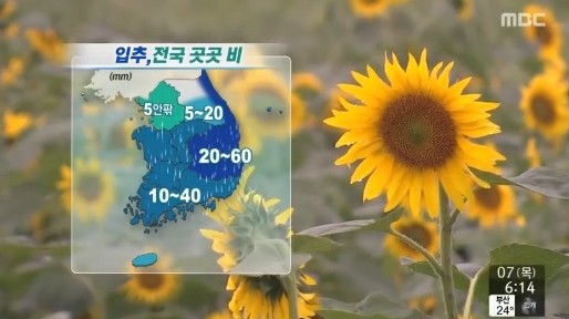 태풍 할롱 간접영향 ⓒ MBC 방송화면