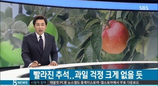 추석 과일값 전망 ⓒ SBS뉴스 방송화면