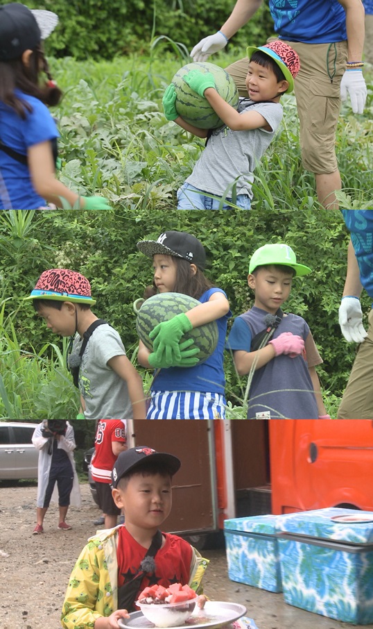 '일밤 아빠 어디가' 멤버들이 수박 마을로 여행을 떠났다 ⓒ MBC