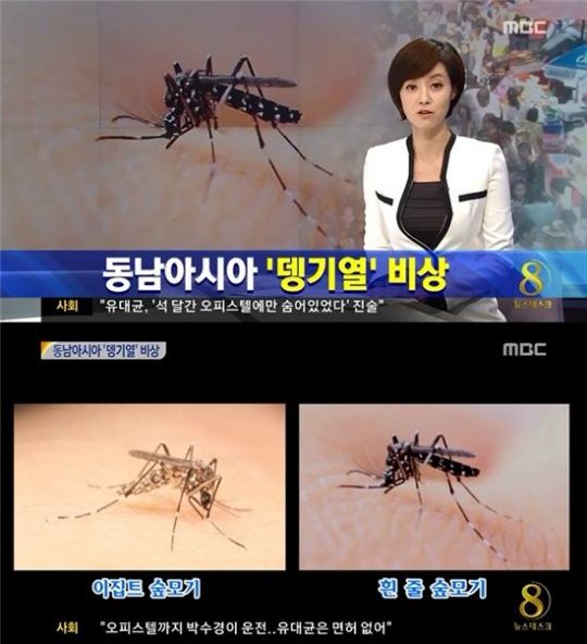 뎅기열 증상 ⓒMBC 뉴스화면