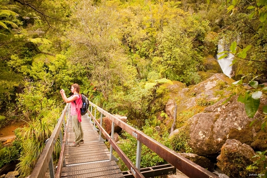 아벨 태즈먼 국립공원 ⓒ 뉴질랜드관광청