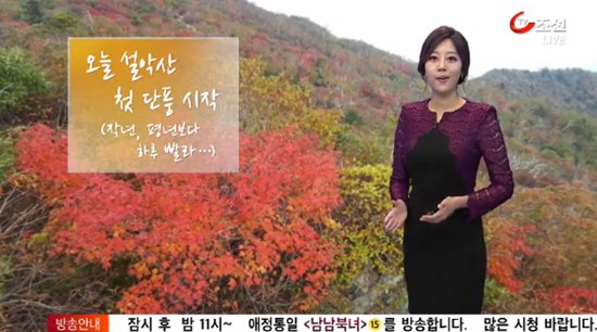 설악산 첫 단풍 ⓒ TV조선 방송화면