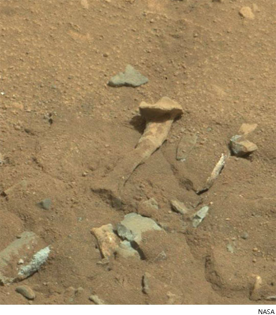 화성에서 발견된 뼈처럼 생긴 물체 ⓒ NASA