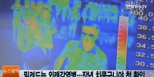 치쿤구니야 열병이란 ⓒ 연합뉴스TV 치쿤구니야 열병이란 방송화면 캡처