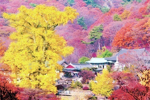 수도권 단풍 명소 ⓒ 경기관광공사