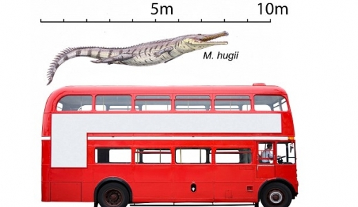 이층버스 크기 고대 악어 ⓒ 미국 디스커버리 뉴스