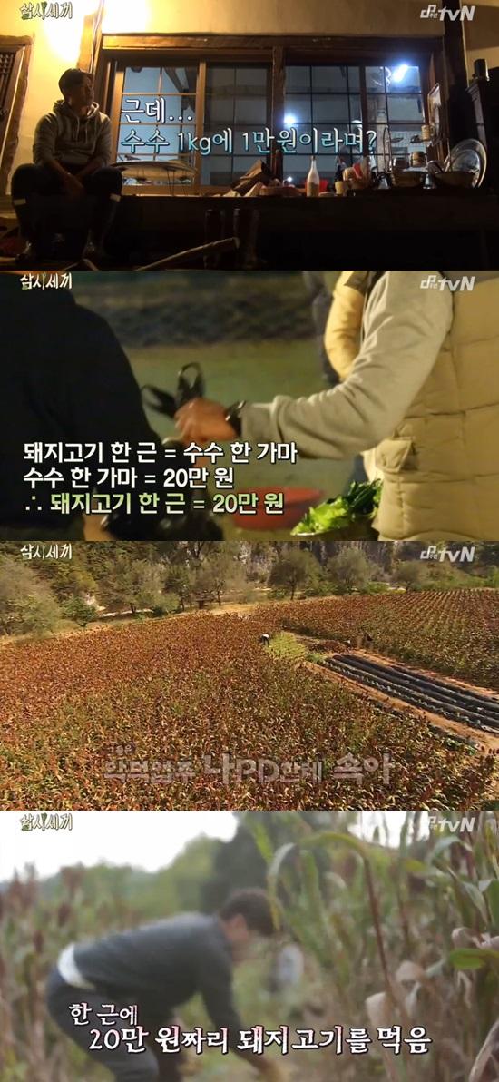 '삼시세끼' 이서진 ⓒ tvN '삼시세끼' 방송화면