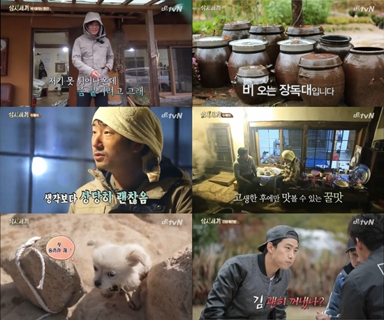 삼시세끼 ⓒ tvN 방송화면