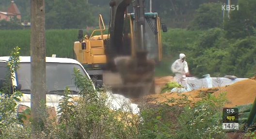 ​유럽 고병원성 AI 비상 ⓒ KBS