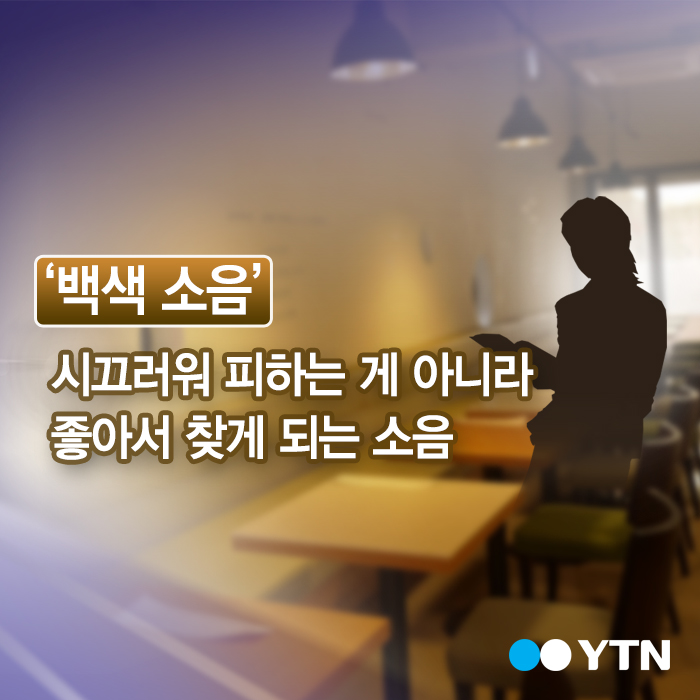 백색소음이란 ⓒ ytn 백색소음이란 방송화면