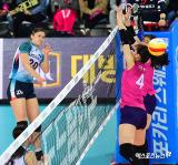 알리 '매서운 스파이크'[포토]