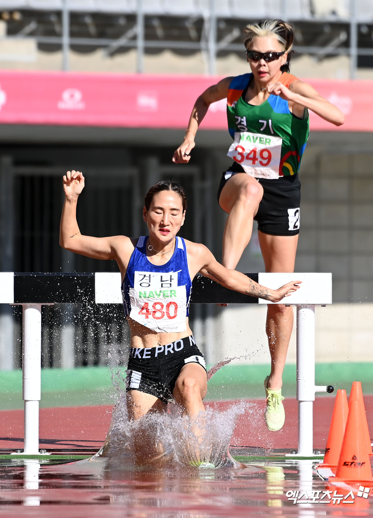 조하림 남보하나