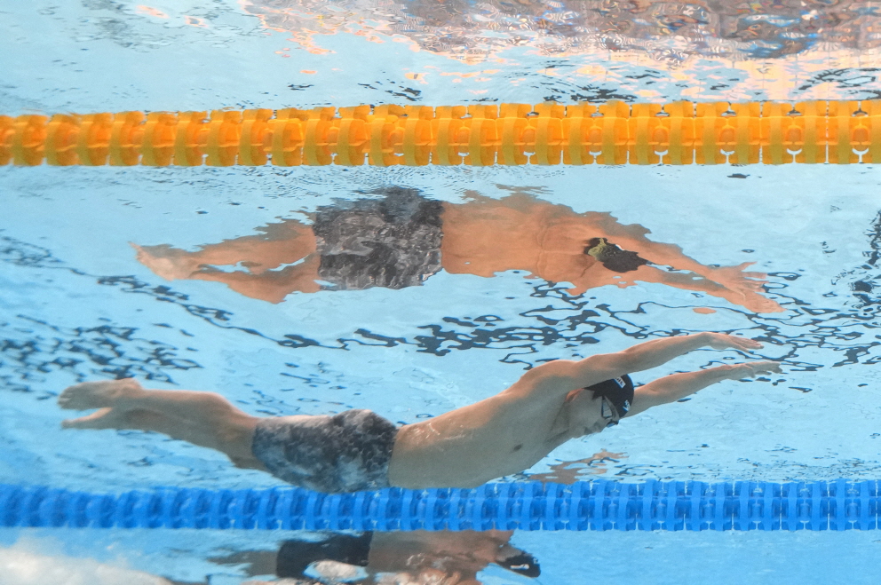 황선우가 15일 카타르 도하 어스파이어돔에서 열린 2024 세계수영선수권대회 남자 자유형 100m 준결승에서 역영하고 있다. 도하 연합뉴스