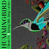 라쿠나 장경민, 대만 밴드 I Mean Us와 협업…신곡 'hummingbird' 발매
