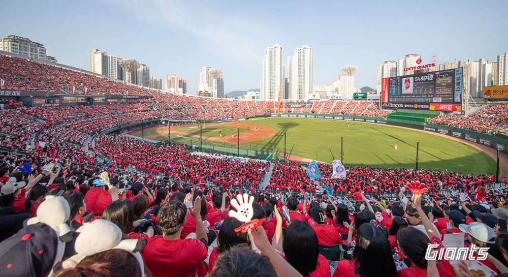 롯데는 10~12일 사직구장에서 열린 '2024 신한 SOL Bank KBO 리그' LG 트윈스와 주말 3연전 두 번째 경기에서 동백시리즈를 진행한다. 많은 관중이 경기장을 붉게 물들게 할 예정이다. 롯데 자이언츠