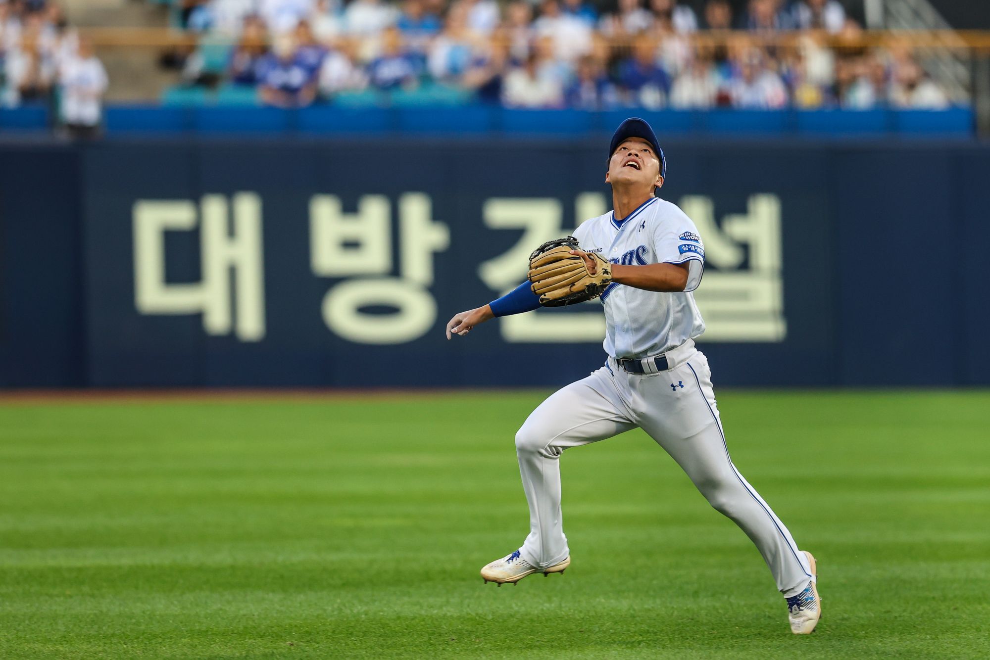 삼성 라이온즈 내야수 양도근이 3일 대구 삼성라이온즈파크에서 열린 롯데 자이언츠와의 홈경기에서 타구를 따라가고 있다. 멋진 다이빙 캐치로 아웃카운트를 올렸다. 삼성 라이온즈 제공