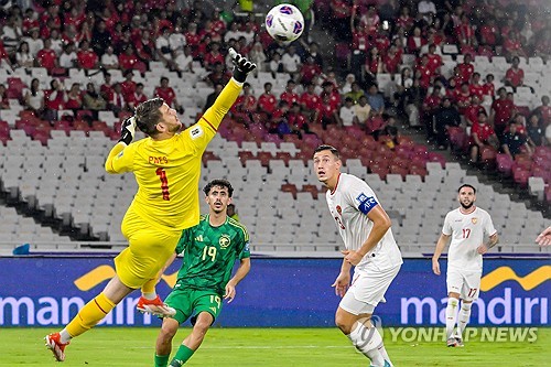 인도네시아가 안방에서 중동의 맹주 사우디아라비아를 2-0으로 제압하고 조 3위로 올라서면서 월드컵 진출 가능성을 높였다. 현재 인도네시아의 승점은 6점이다. 승점 차이가 10점인 조 선두 일본을 끌어내리는 것은 쉽지 않아 보이지만, 2위 호주(승점 7)의 자리는 충분히 노릴 수 있다. 지금의 흐름을 이어간다면 신태용 감독이 말한 현실적인 목표인 4차예선 진출 역시 무난하게 달성할 수 있을 것으로 보인다. 사진 연합뉴스