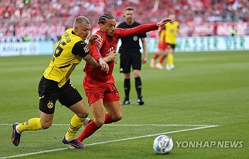 바이에른 뮌헨과 도르트문트가 13일(한국시간) 독일 뮌헨에 있는 알리안츠 아레나에서 열린 2024-2025시즌 분데스리가 29라운드 '데어클라시커' 맞대결에서 2-2 무승부를 기록했다. 연합뉴스