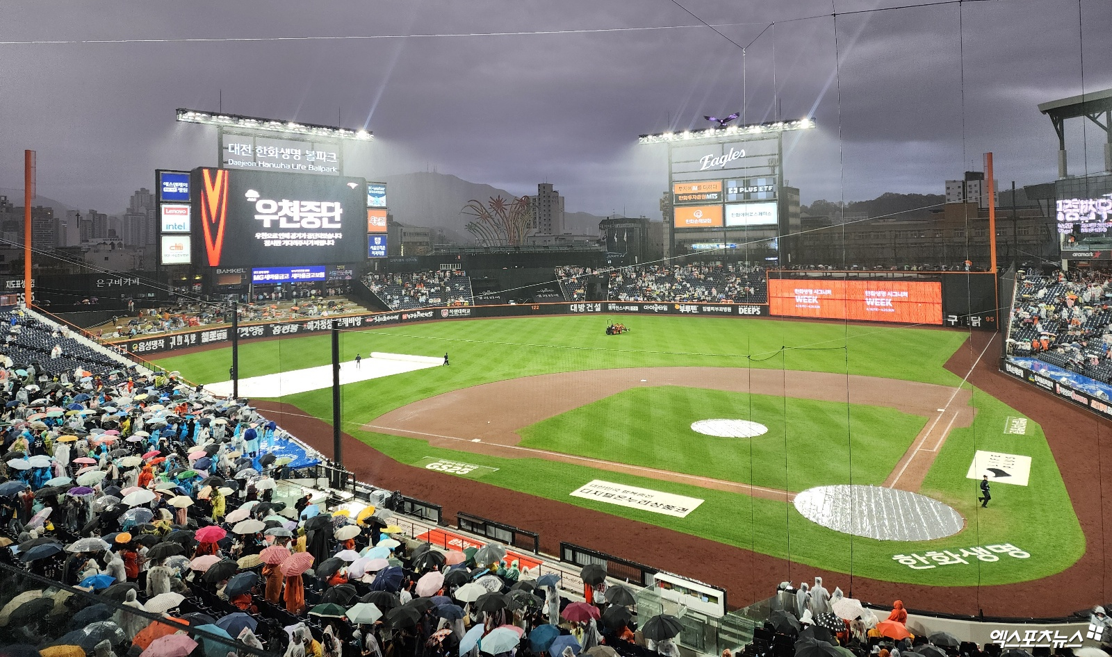 한화는 19일 대전한화생명볼파크에서 열린 '2025 신한 SOL Bank KBO 리그' NC와 정규시즌 두 번째 맞대결에서 5회 7-2 우천 강우 콜드 승리를 챙겼다. 6연승 파죽지세가 이어지고 있다. 대전, 박정현 기자