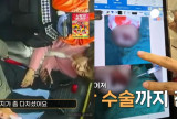 이승연 父, 이마 찢어짐 사고로 응급실 行 계단 인지 못해 (아빠하고)
