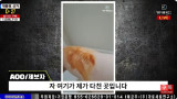 김새론 녹취 제보자, 김수현 측 'AI 위조·가짜 피습' 주장 반박 영상 공개  [엑's 이슈]
