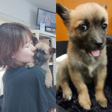 예지원, 딸 엄마 됐다… “20년만 제 곁으로, 놀라고 감동” 