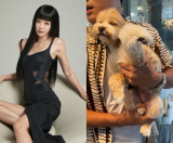 '10세 연하♥' 한예슬 아이 다리가 부러진 채...어떻게 해야 하나요 [★해시태그]
