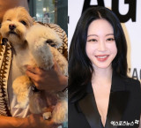 '10세 연하♥' 한예슬, 의료사고 이어 낙상사고 공개 '충격'…"아이 떨어뜨려 죄송하다고" [엑's 이슈]