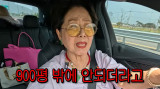 '사별' 선우용여, 900평 땅 공개…"남편한테 받은 유일한 것" (순풍)