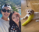 '10살 연하♥' 한예슬 내 아기…낙상사고로 깁스, 쏟아지는 응원