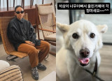 '반려견 암 말기' 고백한 이효리, 급히 해명했다…"예뻐서 올린 것"