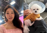 '김태현♥' 미자, 반려견 토혈에 충격…숨 안 쉬어져 먹먹 [★해시태그]