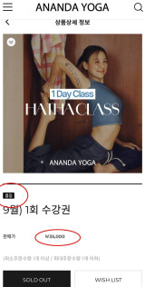 원장 이효리 효과, 사업 대박…요가원 수강권 벌써 '매진', 1회 3만 5천원이었다 [엑's 이슈]
