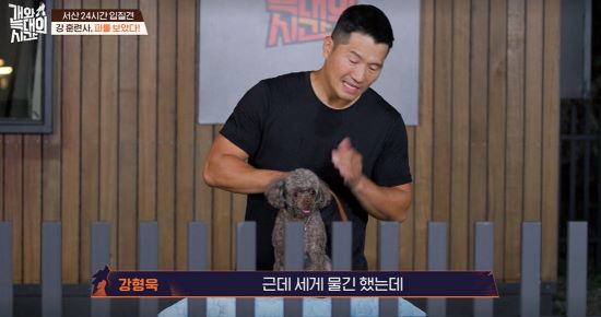 강형욱이 '늑대 2호'에게 물렸다. 사진=채널 A 방송 화면