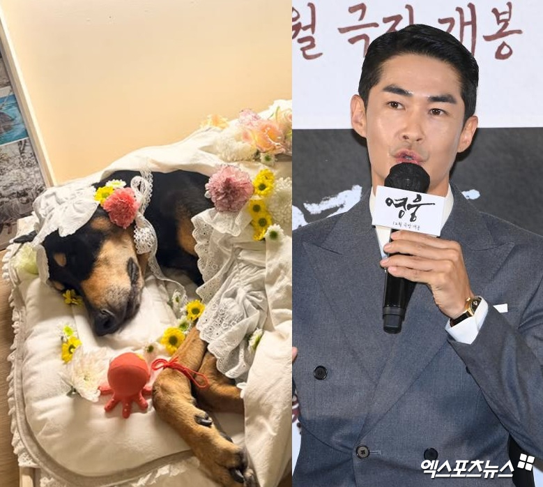 배정남과 반려견 벨.