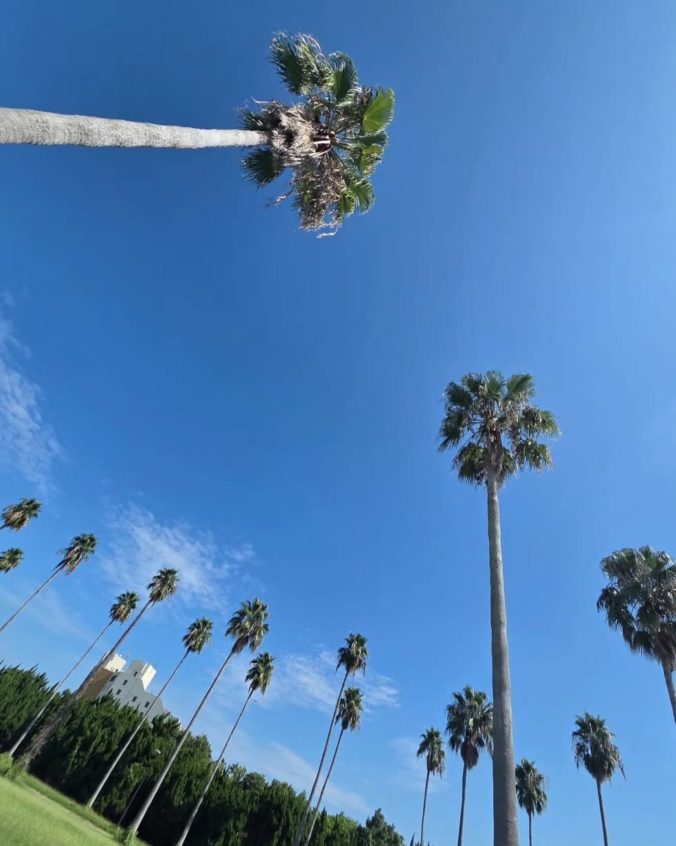 소유진 인스타그램 스토리