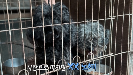 사진= MBC '실화탐사대' 제공