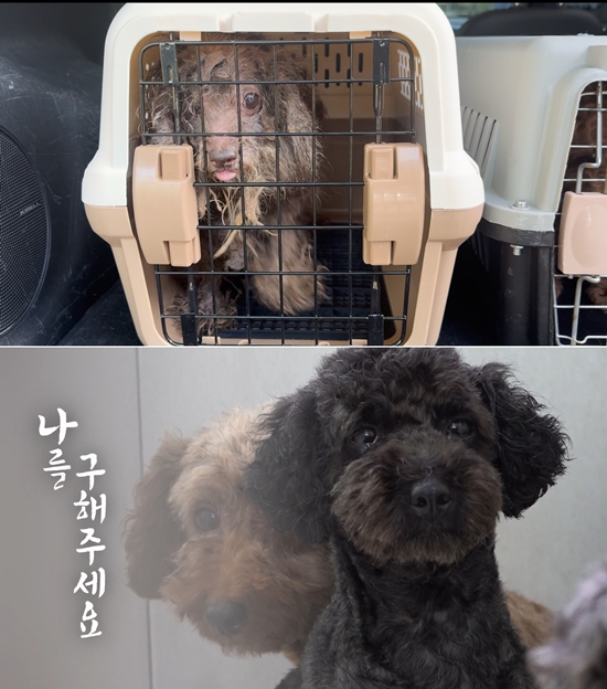 사진= MBC '실화탐사대' 제공