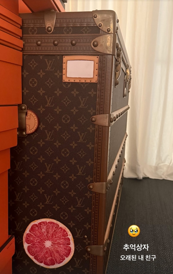 고현정 트렁크. 사진=고현정 계정